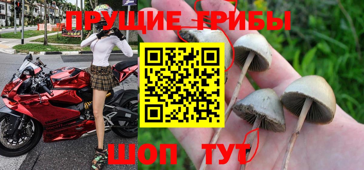 Галлюциногенные грибы Magic Shrooms Тольятти
