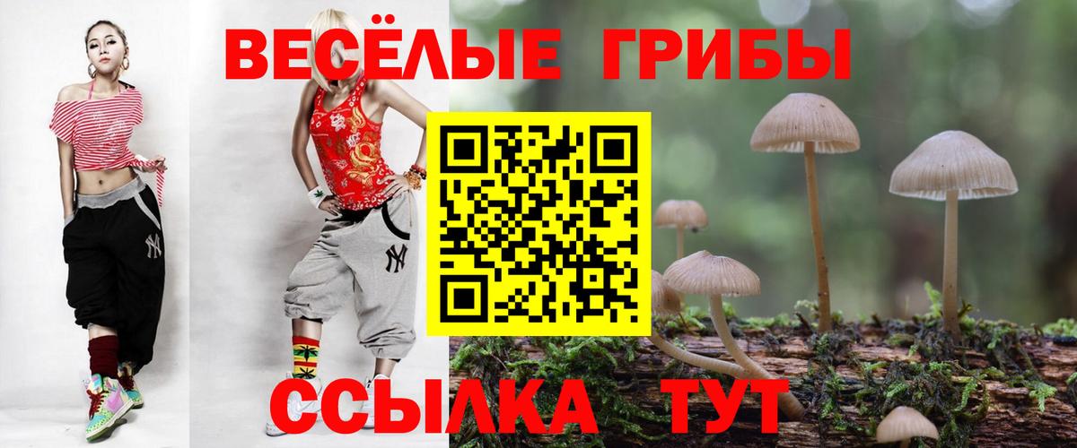 Тольятти  Галлюциногенные грибы мухоморы  Вход с VPN 